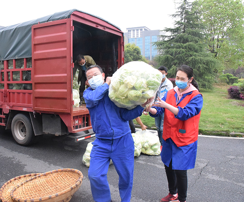 1585036467483927.jpg 蔬菜1.jpg