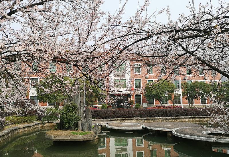 華菱衡鋼榮登2020年中國鋼鐵行業(yè)品牌榜